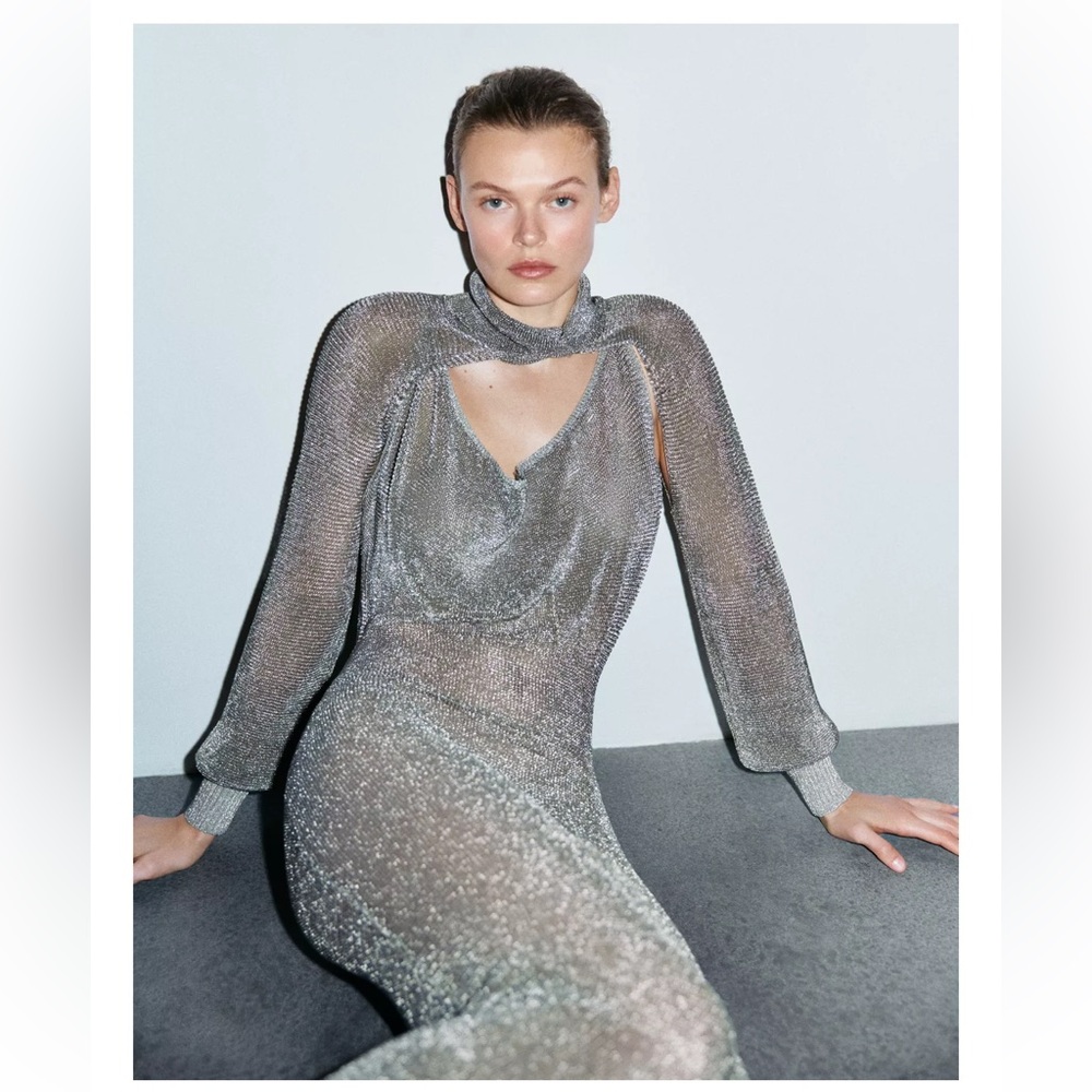 ZARA METALLIC THREAD MESH DRESS LIMITED EDITION - Picture 5 of 12